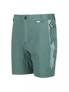 Функциональные шорты Regatta Mountain Shorts II Wanderhose, зеленый