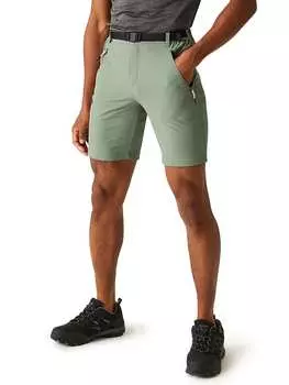 Функциональные шорты Regatta, зеленый