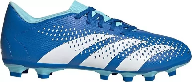 Футбольные бутсы Adidas Predator Accuracy.4 FxG, синий/белый