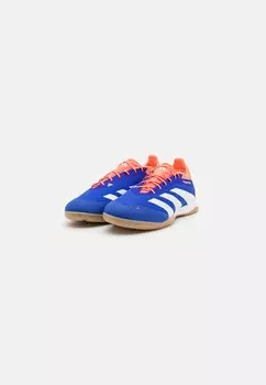 Футбольные бутсы PREDATOR ELITE INDOOR adidas, синий