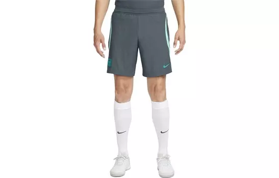 Футбольные шорты мужские светло-зеленые Nike, светло-зеленый