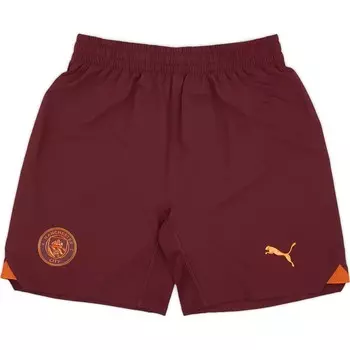 Футбольные шорты мужские темно-красные Puma, темно-красный