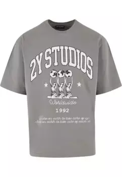 Футболка 2Y Studios "Мужская футболка 2Y Globe Oversize 2Y Studios", серый