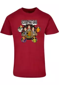 Футболка ABSOLUTE CULT "Мужская футболка ABSOLUTE CULT Scooby - Natural Персонажи Basic", цвет Burgundy