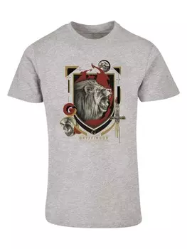Футболка Absolute Cult T-Shirts, серый