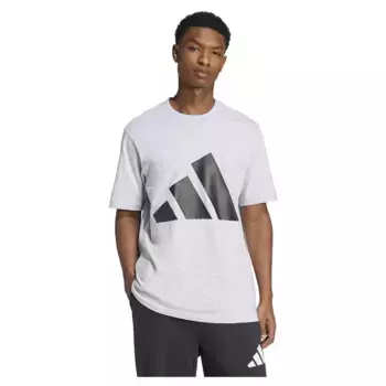 Футболка adidas Essentials Big Logo, серый