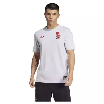 Футболка adidas FC Bayern VRCT, серый