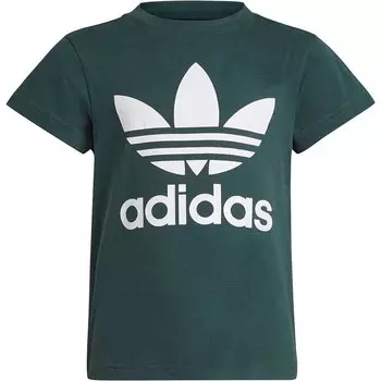 Футболка adidas Originals Adicolor Trefoil, зеленый