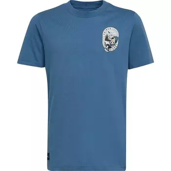 Футболка adidas Originals Disney Mickey And Friends, синий