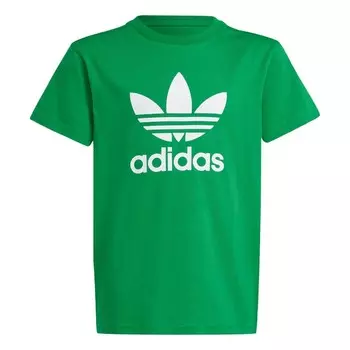 Футболка ADIDAS ORIGINALS Trefoil, зеленый