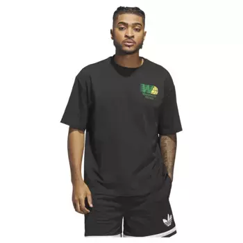 Футболка adidas Originals Worldwide Hoops Spotlight GFX, черный