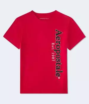 Футболка Aeropostale с графической аппликацией и вертикальной аппликацией, красный