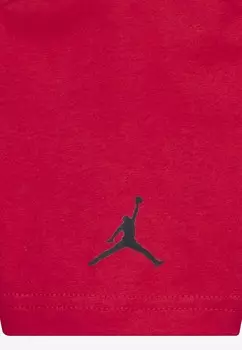 Футболка AIR JORDAN COMICS DUNK Jordan, красный
