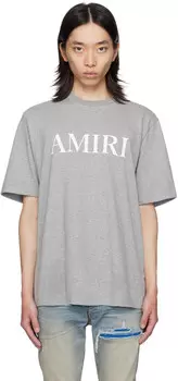 Футболка AIRI серая с принтом и логотипом Core AMIRI
