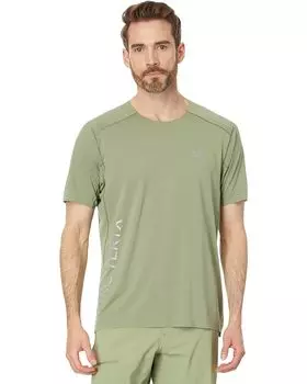 Футболка Arc'teryx Norvan Downword Logo, цвет Chloris