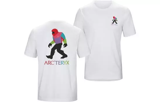 Футболка Arcteryx Bigfoot Series, черный