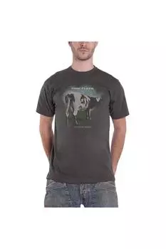 Футболка Atom Heart Mother Fade Pink Floyd, серый