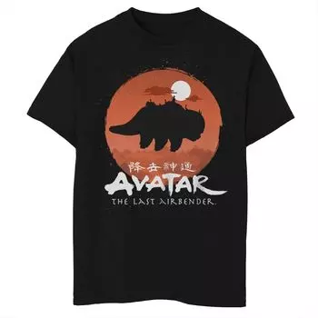 Футболка Avatar Appa The Last Airbender для мальчиков 8–20 лет Licensed Character