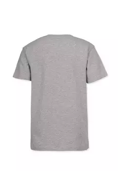 Футболка Band of Rascals, серый