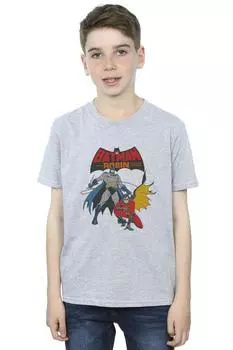 Футболка «Бэтмен и Робин» DC Comics, серый