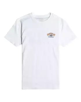 Футболка Billabong "Arch Dreamy Place", белый