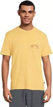 Футболка Billabong Original Arch Premium Wave Washed Short Sleeve Tee, золотой
