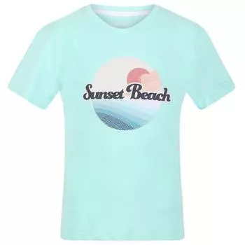 Футболка Bosley V Sunset для мальчиков и девочек, синяя, Аруба REGATTA, цвет azul