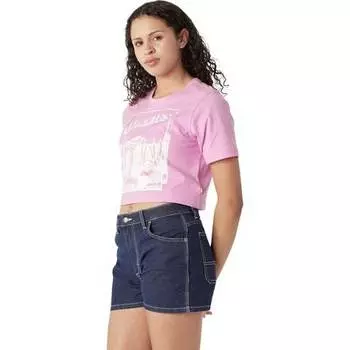 Футболка Boyfriend Desert с короткими рукавами и рисунком женская Dickies, цвет Wild Rose