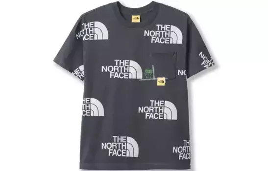 Футболка Brain Dead X Brain Dead Co-brand унисекс темно-серая The North Face, темно-серый