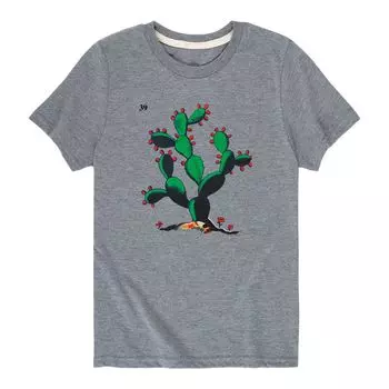 Футболка Cactus 39 с рисунком для мальчиков 8–20 лет Licensed Character, серый