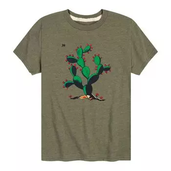 Футболка Cactus 39 с рисунком для мальчиков 8–20 лет Licensed Character, зеленый