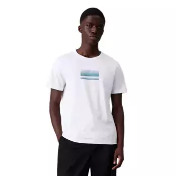 Футболка Calvin Klein Gradient Logo, белый