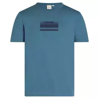 Футболка Calvin Klein Gradient Logo, синий