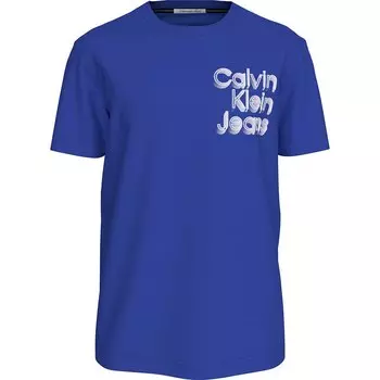 Футболка Calvin Klein Jeans Staed Euphoric Logo, фиолетовый