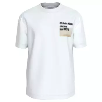 Футболка Calvin Klein Logo Fade Box, белый