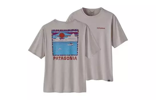 Футболка Capilene мужская Patagonia, зеленый