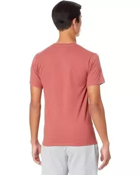 Футболка Champion Classic Graphic Tee, цвет Sandalwood Red