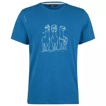 Футболка Chillaz Alpaca Gang Bergfreunde, синий