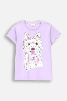 Футболка Coccodrillo, фиолетовый