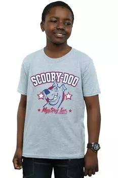 Футболка Collegiate Mystery Inc. Scooby Doo, серый