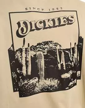 Футболка цвета хаки с пейзажным принтом на спине Dickies Rose Lodge