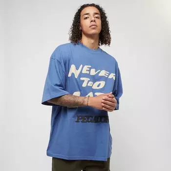 Футболка Danico Boxy Tee Pegador, цвет washed retro blue