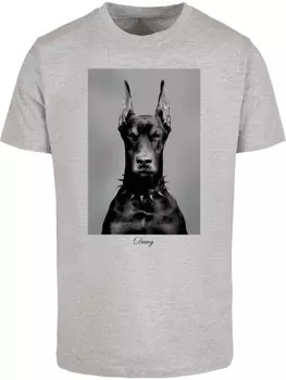 Футболка Dawg Tee Mister Tee, серый