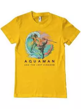 Футболка DC Comics, золотой