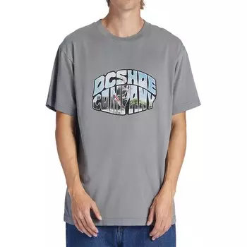 Футболка Dc Shoes Citywide, серый