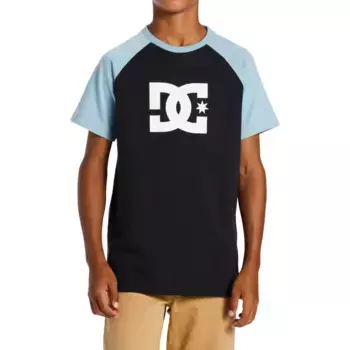 Футболка DC Shoes «DC Star», цвет Black/Forget Me Not