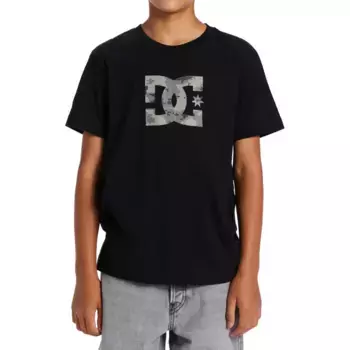 Футболка DC Shoes «DC Star Fill», цвет Black/Cloud Cover