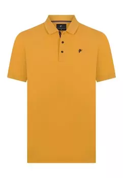 Футболка Denim Culture TADAS, горчица