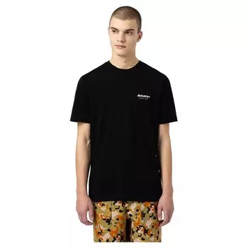 Футболка Dickies Artondale Box, черный