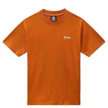 Футболка Dickies Bettles, оранжевый